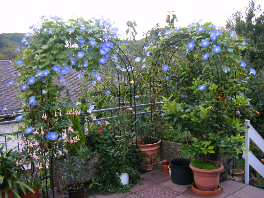 Ferienwohnung M. Lemmermeyer 노이마겐드론 외부 사진